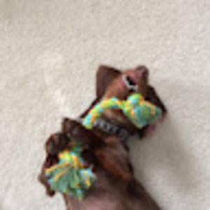 Meet your Posher, Addison